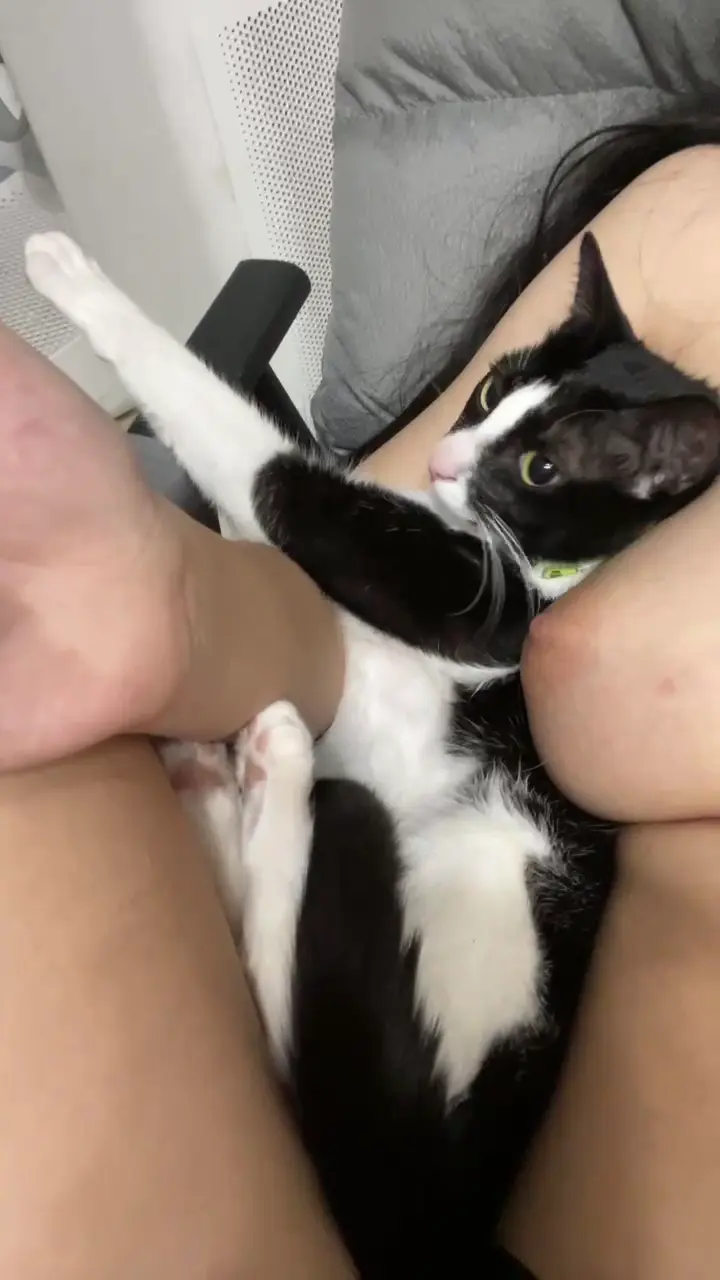 知道你們愛看胸