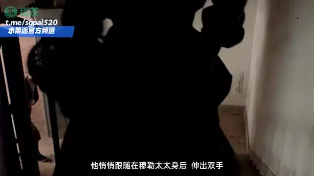 水果派 260303Q