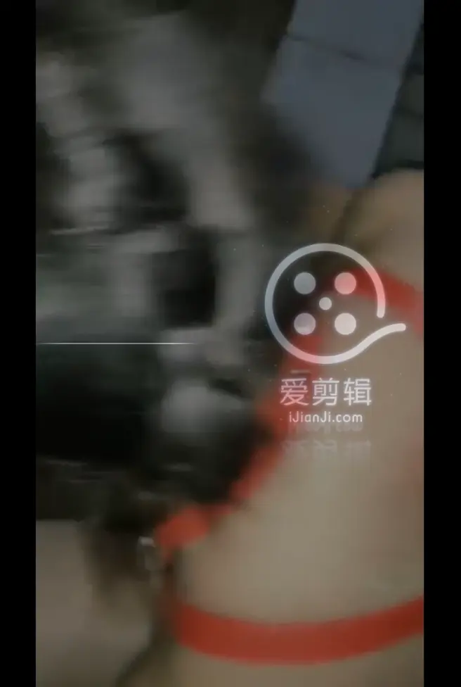 個人雲盤流出已婚巨乳語文老師瘋狂變態的夫妻生活喝尿母狗調教太騷了對白淫蕩 附生活淫照63P+影片1V