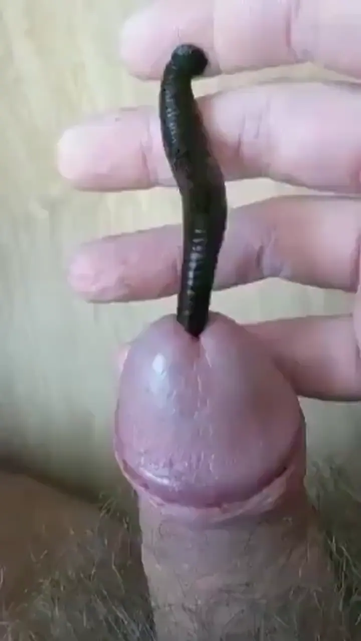猎奇 被你撑大了 高跟尖捅马眼 前列腺液体一直流 猛人蚂蟥钻马眼 让人菊花一紧 出来的结果让你意想不到 能人就是能人