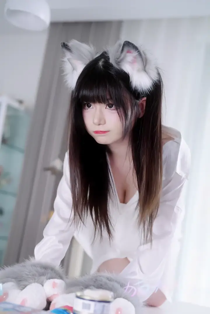 #猫猫大人超甜 抽卡合集