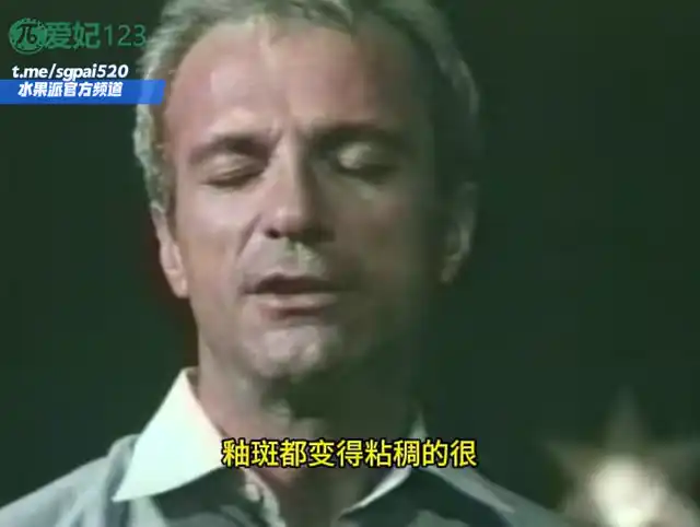 水果派 260302K