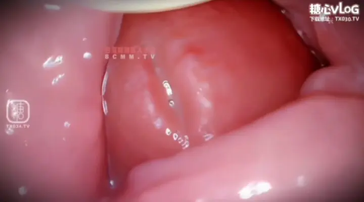 #白菜妹妹 #糖心Vlog #推特