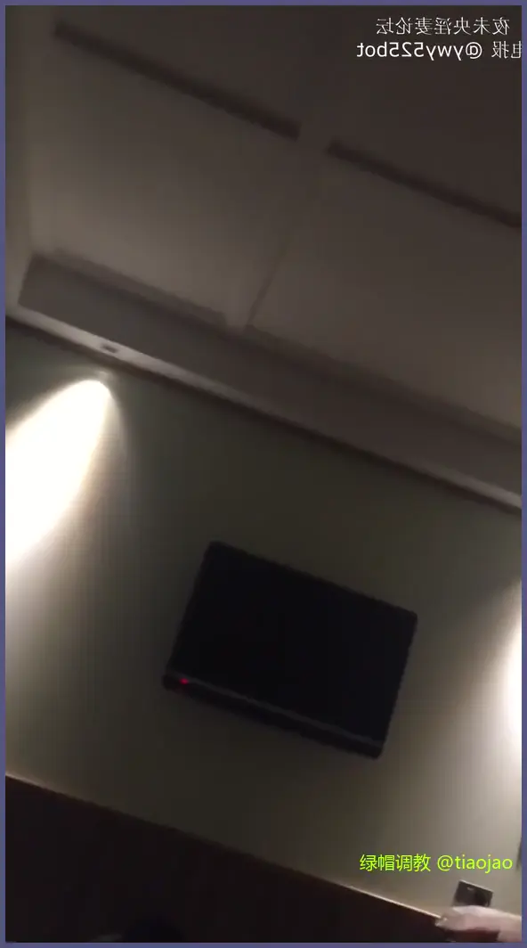 泄密流出,风骚人妻在泰国普吉岛公共卫生间和大鸡巴男偷情,无套被操。自己扶着奸夫的鸡巴送到逼里,让奸夫无套内射