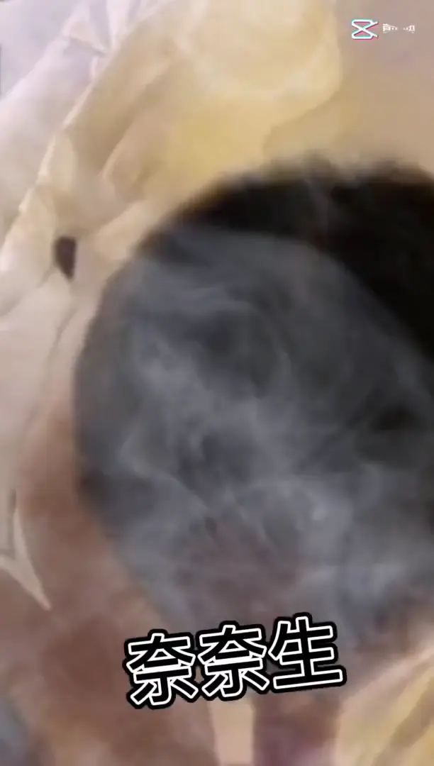 上海撸铁健身教练 小姐姐为了金钱甘愿与有权人3P颜射口交 生活多姿多彩