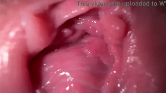 相機在我乳白色的陰部深處