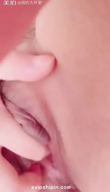 小奶貓：木瓜奶金蓮   微信
