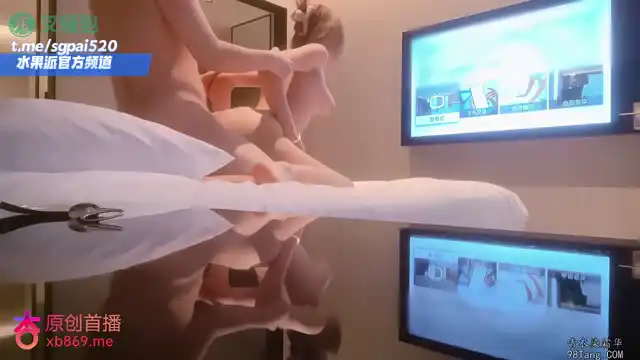 水果派 260405L