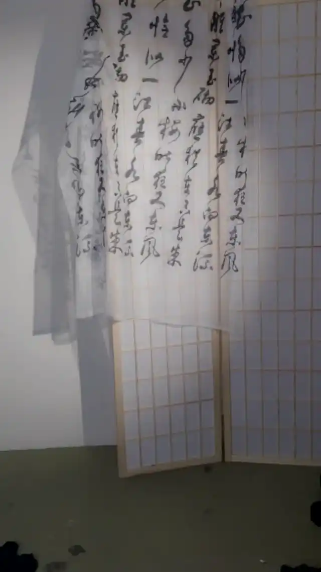 #18岁萝莉小羊 #玉足 #裸舞 #露出 #黑丝 #女仆 #cos #直播 #自慰 #国产 #合集