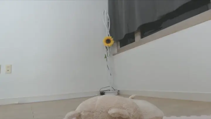 #韩国 韩国主播热舞