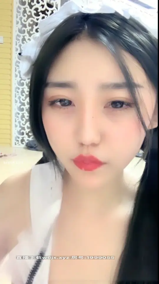 小奶猫：浪浪浪浪 #浪浪浪浪