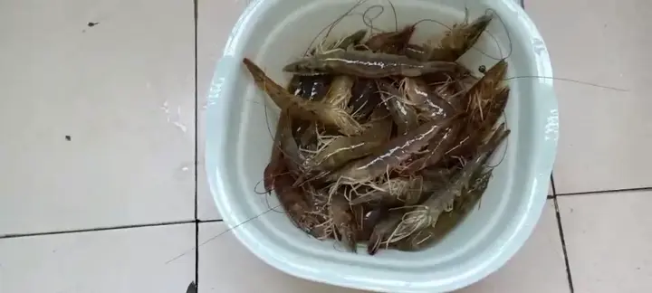 鄂州一家亲