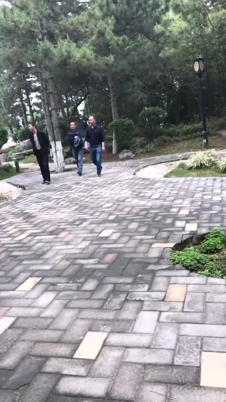 浆果儿合集