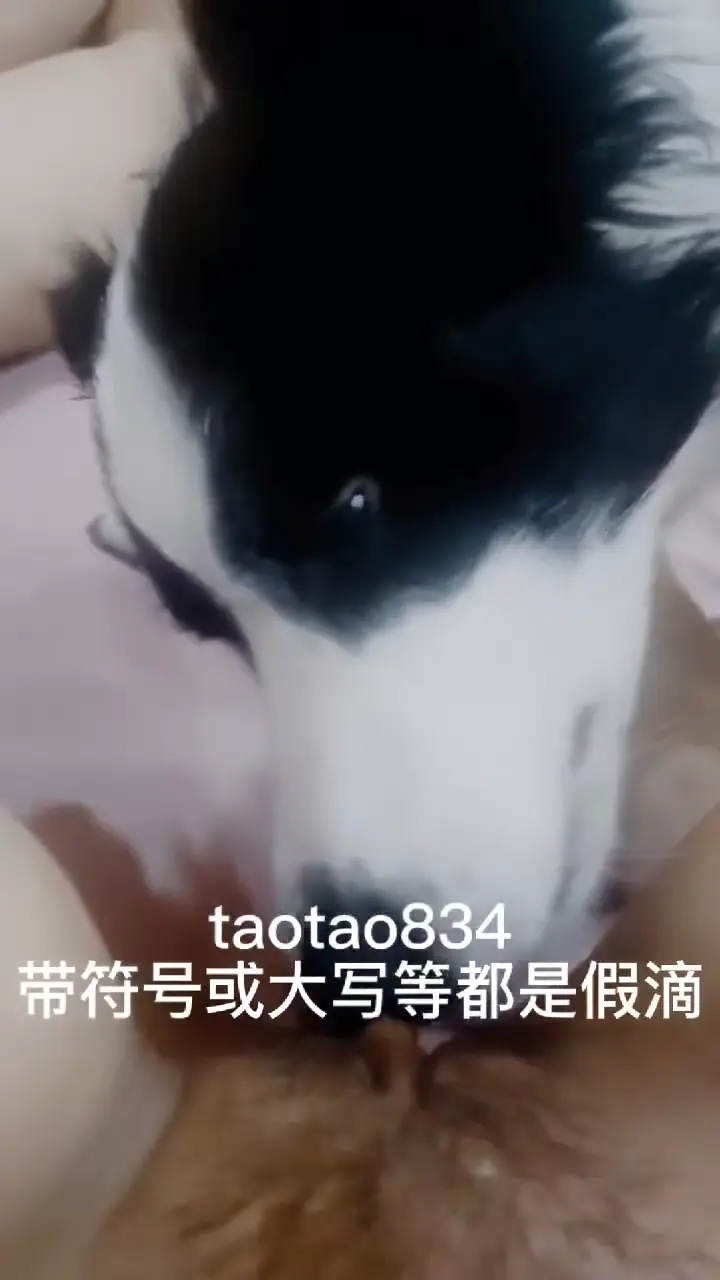 推特 #桃谷若姬子