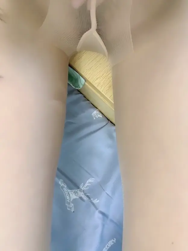 #番茄 #猫咪 番茄：猫咪