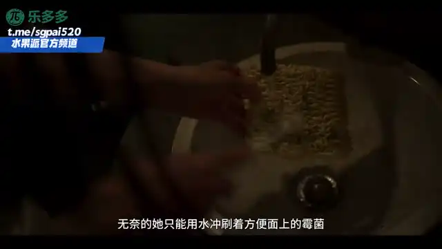水果派 2605241