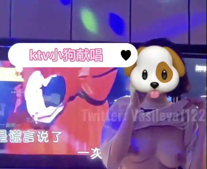 推特:瓦西列娃的日记本