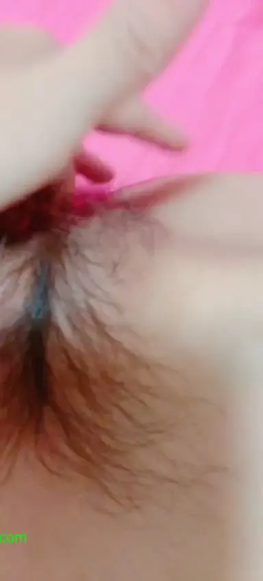 #番茄 #猫咪 番茄：猫咪