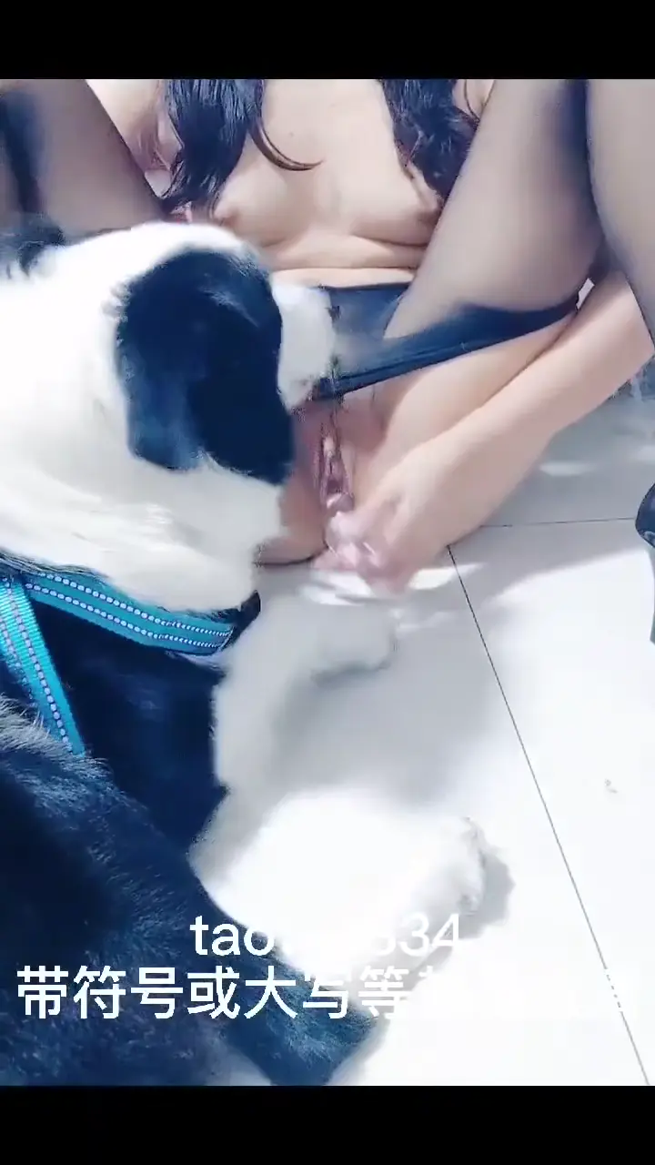 推特 #桃谷若姬子
