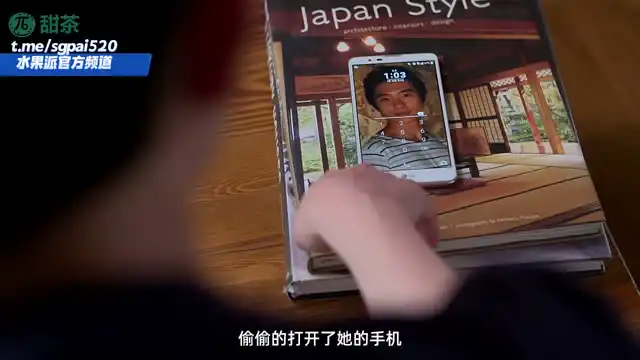 水果派 2605081