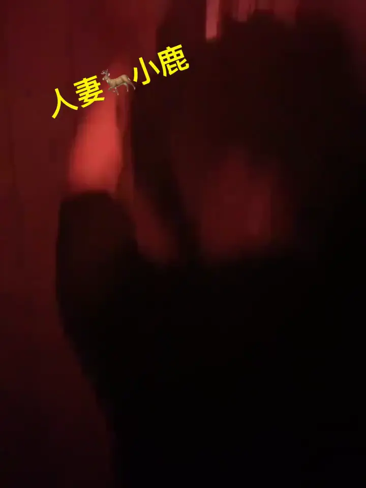 [资源详情] 网红会计师【人妻小鹿】淫荡生活记录 投稿~露出3P应有尽有