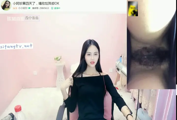 熊猫:小珍 第二视角
