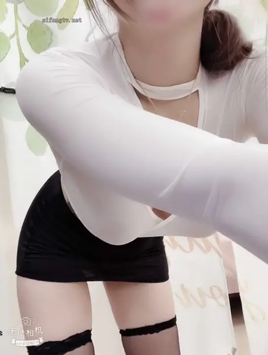 小奶貓：提莫timor
