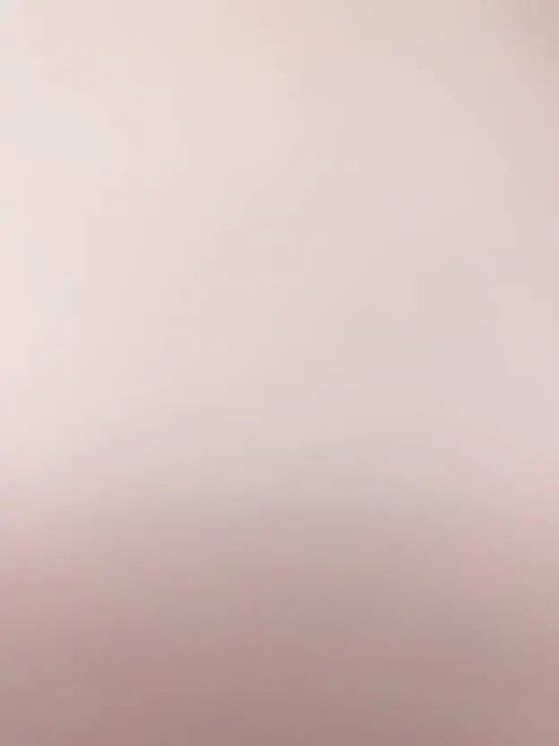 #番茄 #猫咪 番茄：猫咪
