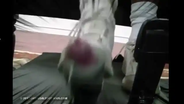 #绿帽剪辑