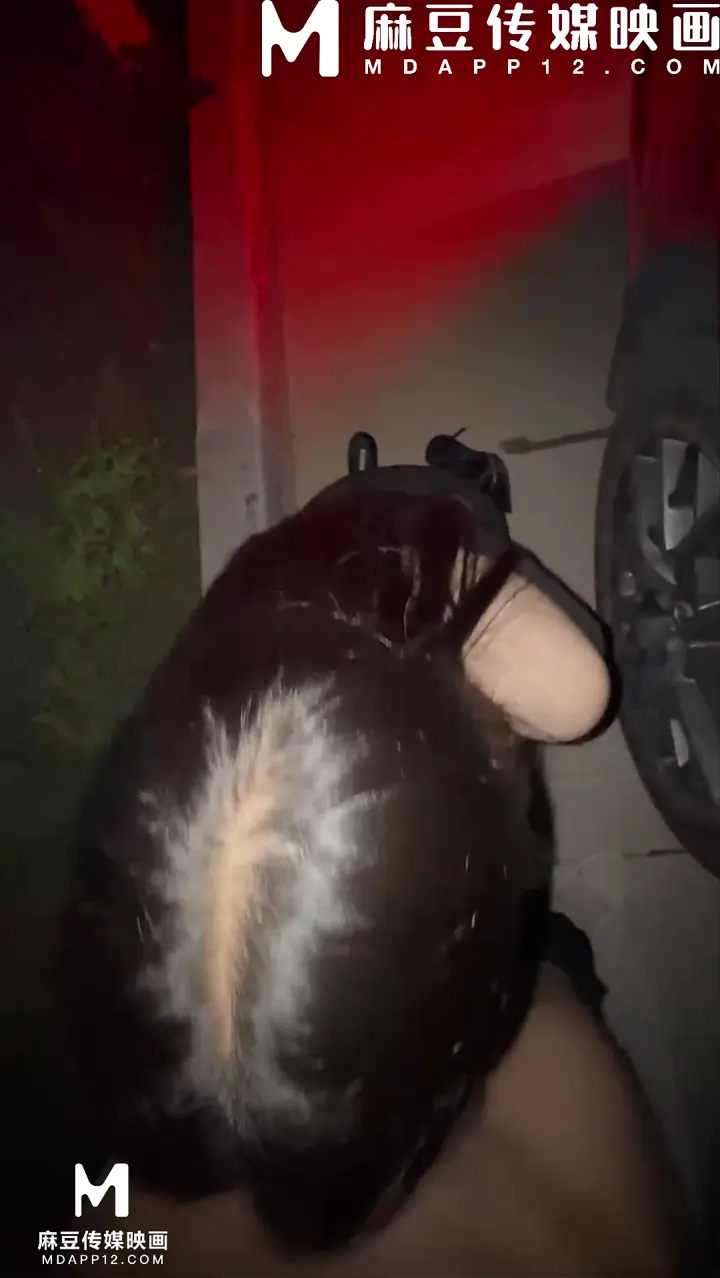 我的姐姐会喷水】- 黑丝开档姐姐户外露出调教 配上粗长阳具太反差淫荡了 车震操喷湿淋淋的骚逼