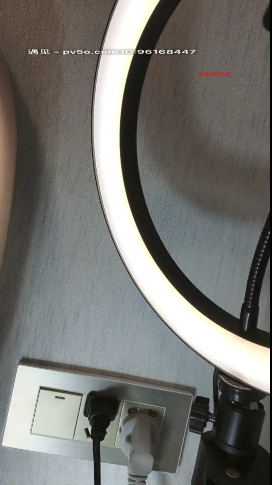 小妲己 阿悦 小鲁班搬砖啦