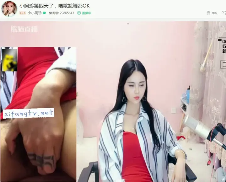 熊猫:小珍 第二视角