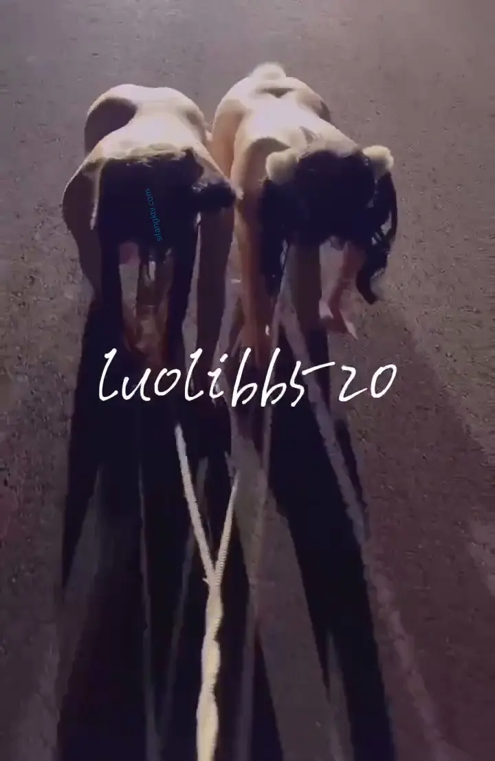 #推特系列 #福利姬系列 #学生系列