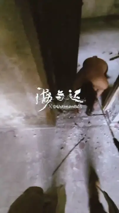 特辑(三) 露出系列大合集
