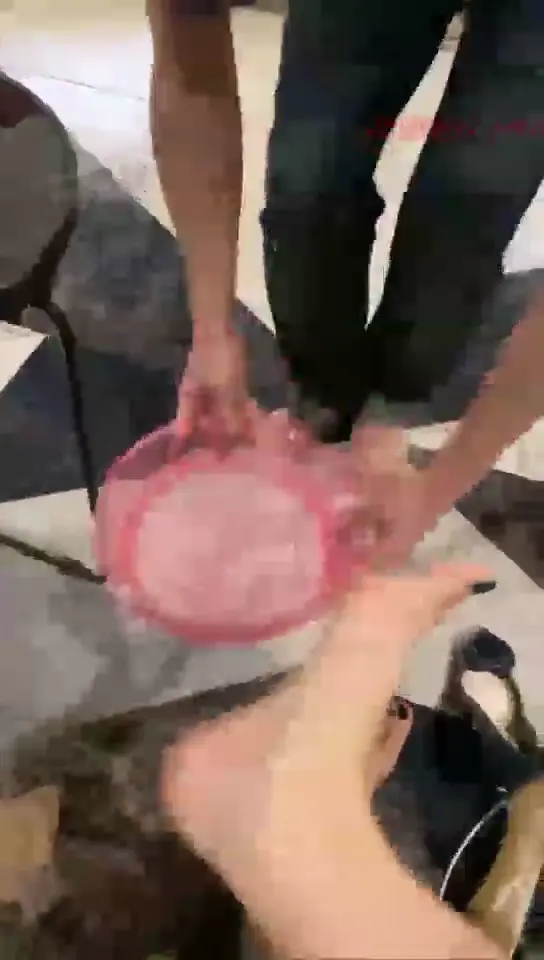#套路直播 #伊茜 #伊茜S #调教男M