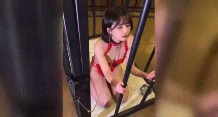 韩国财阀SM调教韩国女团大家眼中的女神 她们胯下的母狗