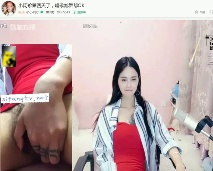 熊猫:小珍 第二视角