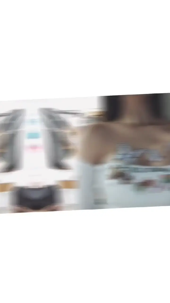 #小蓝的幸福生活