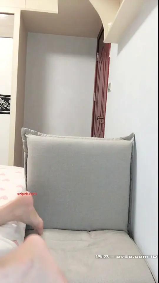 小妲己 阿悦 小鲁班搬砖啦
