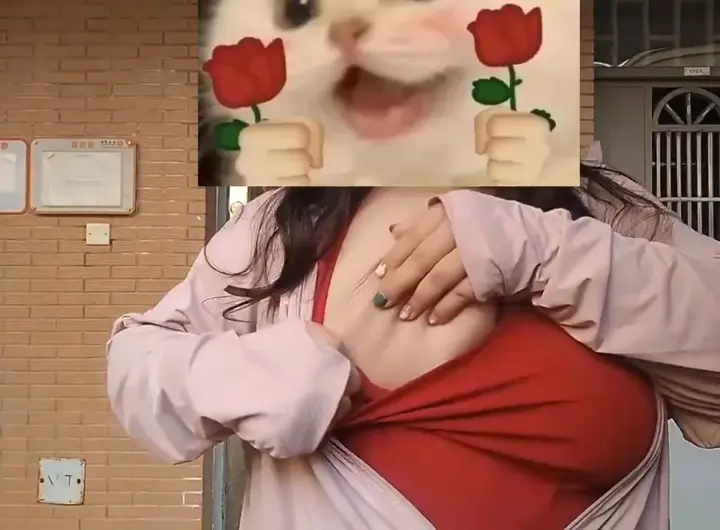 #巨乳 #肥臀 #女大 #编号252