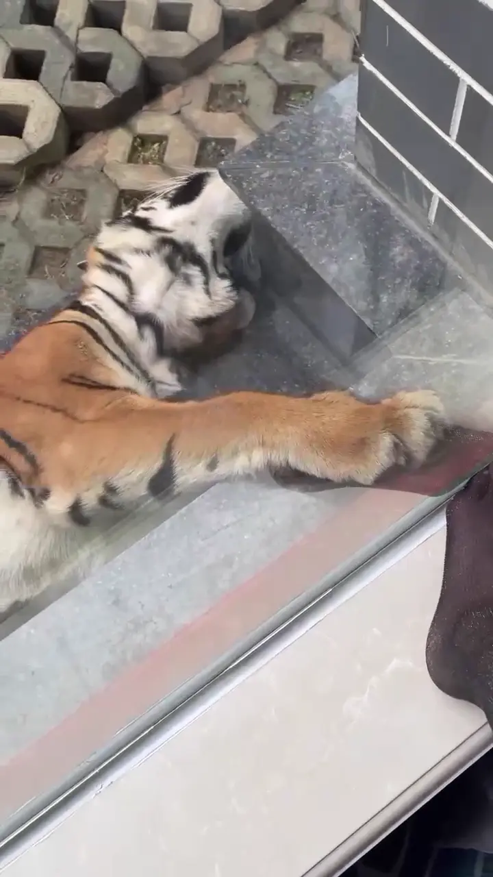 #微密圈 #秘语空间  #铁粉 #岛遇