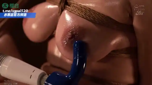 水果派 260511E