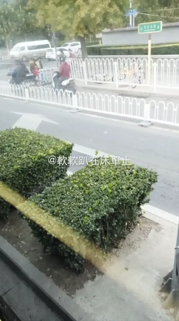 軟軟趴在床單上 公交車跳蛋
