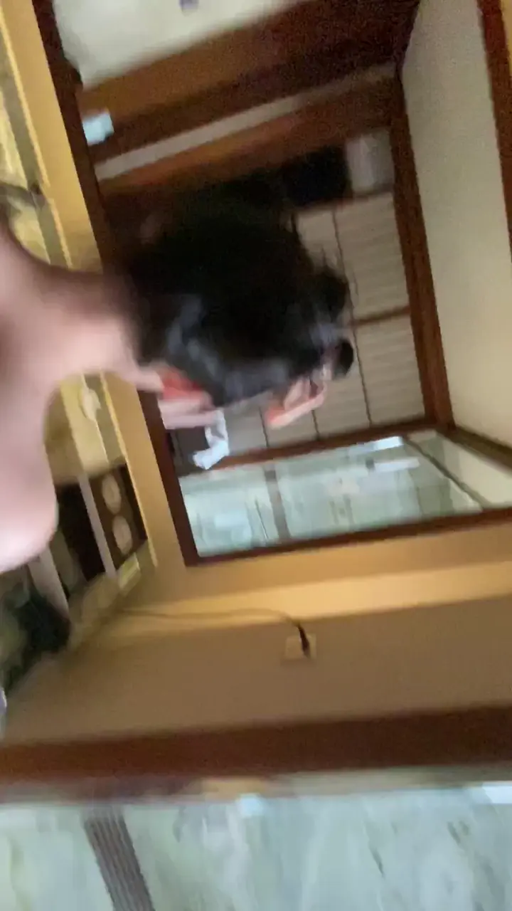 #91视频 #精品自拍