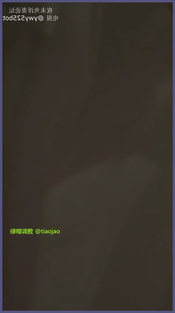 泄密流出，风骚人妻在泰国普吉岛公共卫生间和大鸡巴男偷情，无套被操。自己扶着奸夫的鸡巴送到逼里，让奸夫无套内射