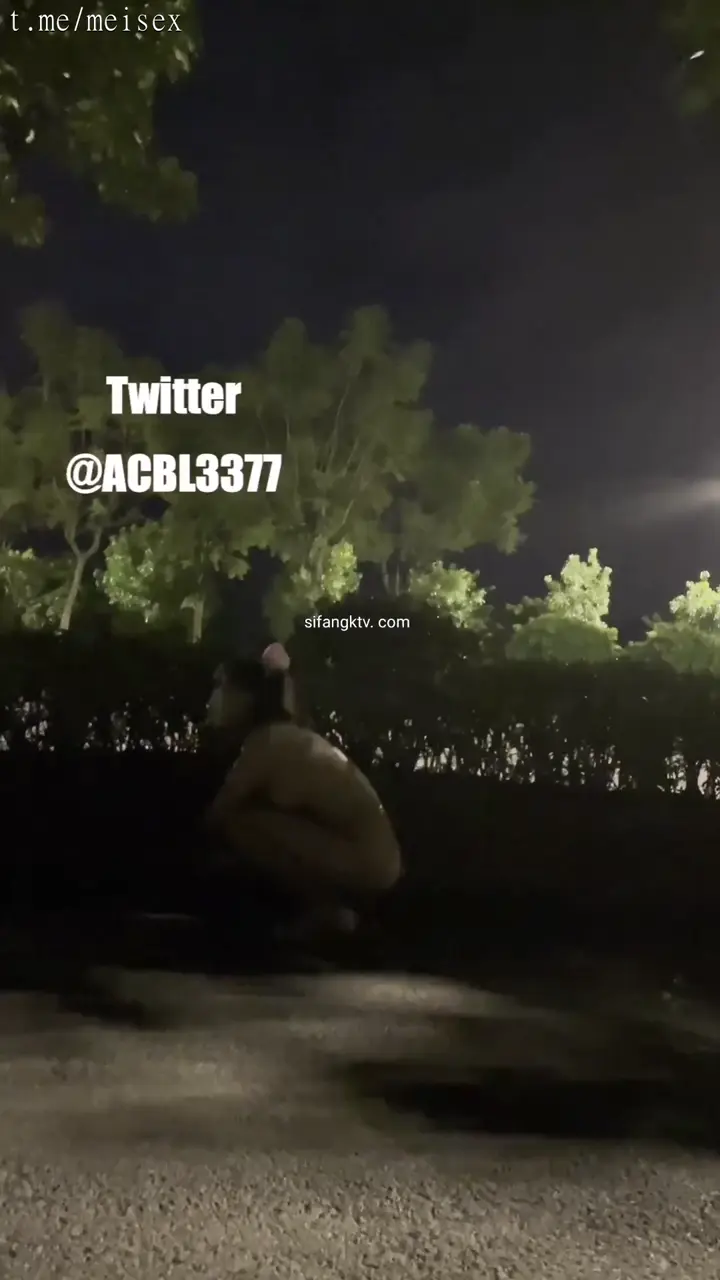 露出少女大神菠蘿夜間全裸化身貓女行走1080p